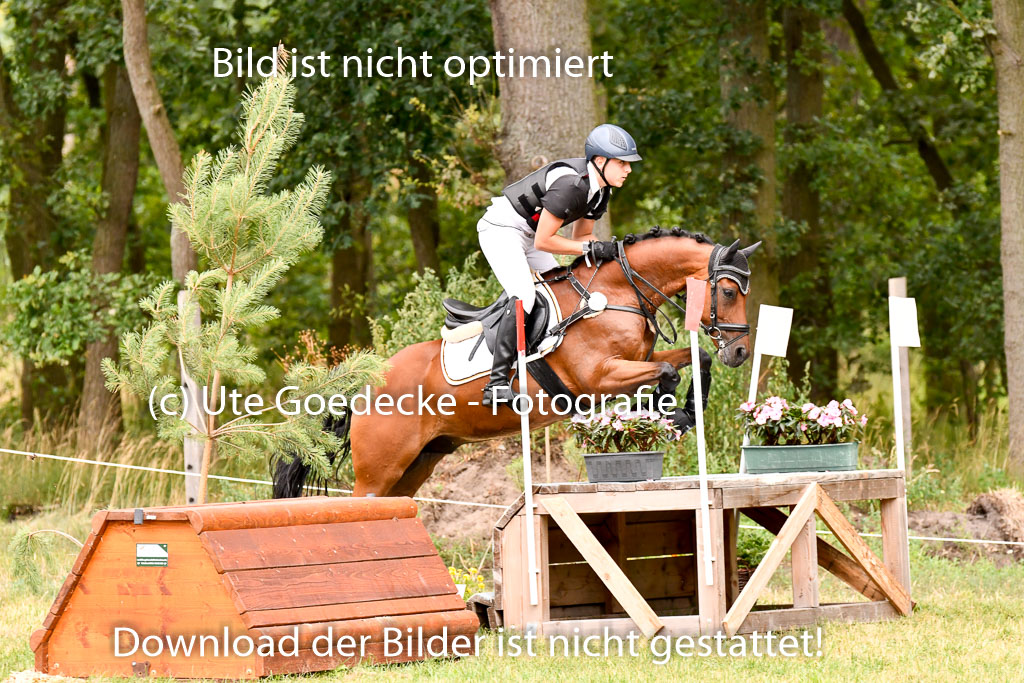 Goldene Schärpe Ponys in Hohenberg Krusemark 2024 | 13072024 Gelände 1 Abt_549