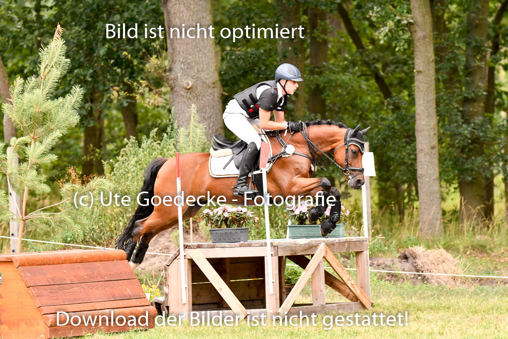Goldene Schärpe Ponys in Hohenberg Krusemark 2024 | 13072024 Gelände 1 Abt_550