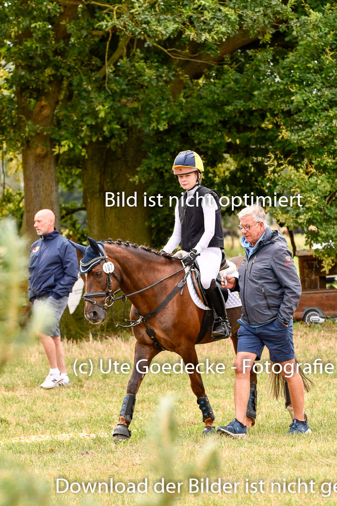 Goldene Schärpe Ponys in Hohenberg Krusemark 2024 | 13072024 Gelände 1 Abt_557