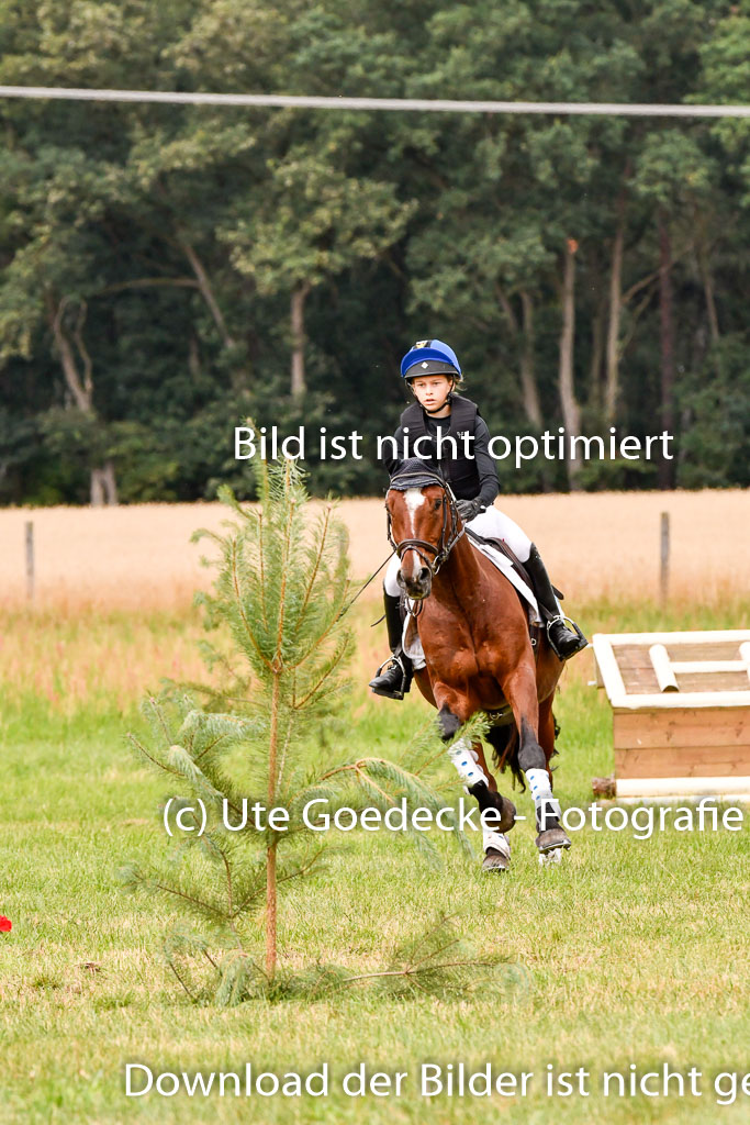 Goldene Schärpe Ponys in Hohenberg Krusemark 2024 | 13072024 Gelände 1 Abt_559