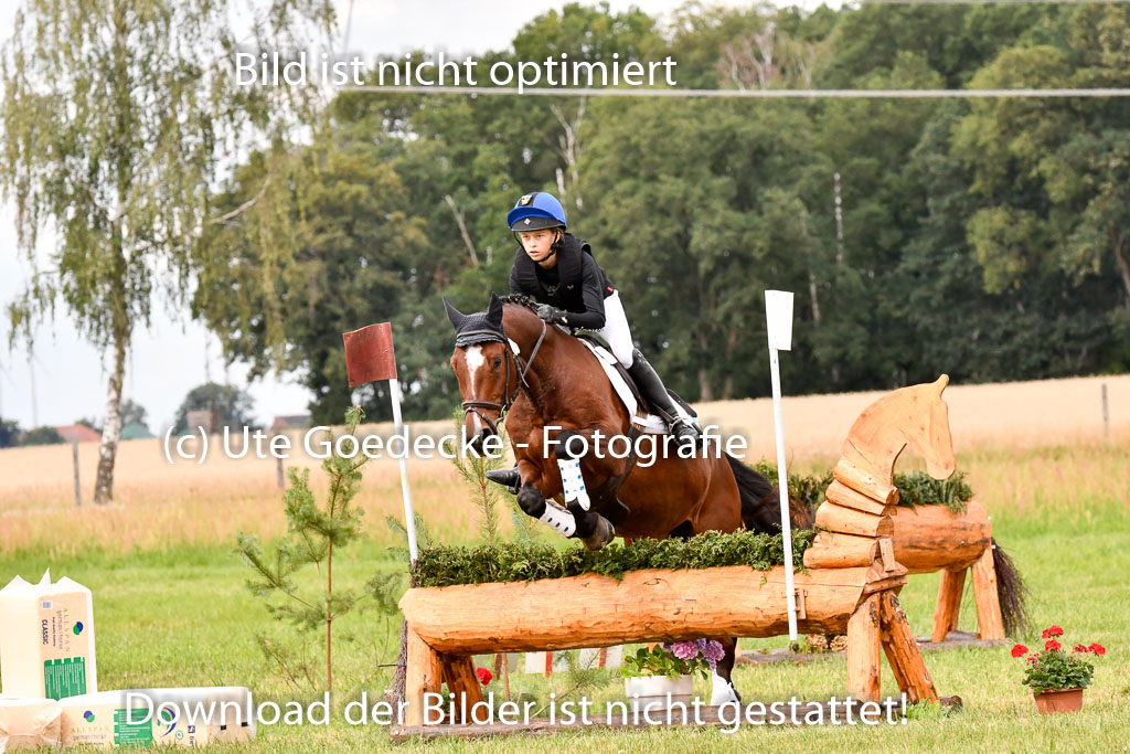 Goldene Schärpe Ponys in Hohenberg Krusemark 2024 | 13072024 Gelände 1 Abt_560