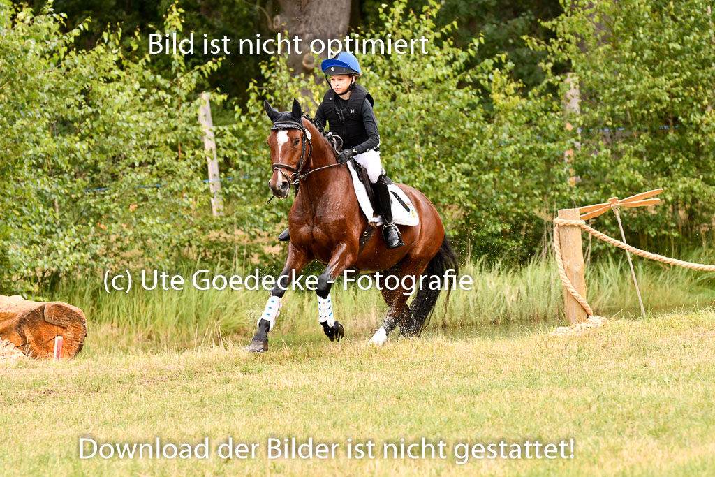 Goldene Schärpe Ponys in Hohenberg Krusemark 2024 | 13072024 Gelände 1 Abt_562