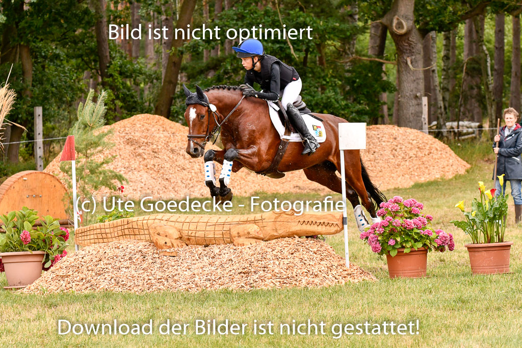 Goldene Schärpe Ponys in Hohenberg Krusemark 2024 | 13072024 Gelände 1 Abt_564
