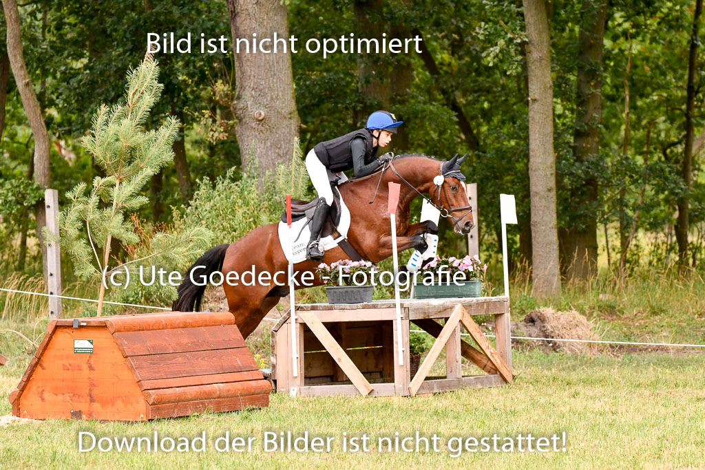 Goldene Schärpe Ponys in Hohenberg Krusemark 2024 | 13072024 Gelände 1 Abt_565