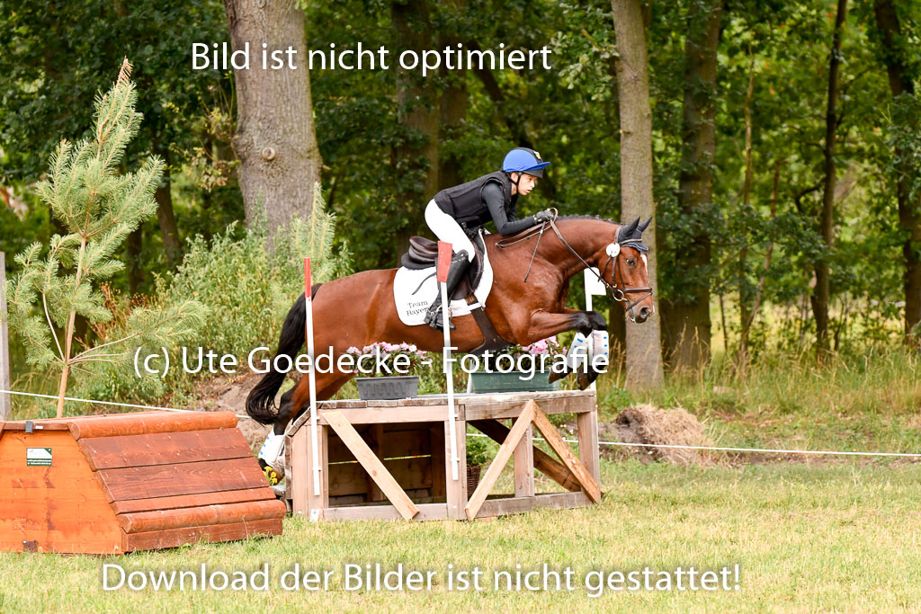 Goldene Schärpe Ponys in Hohenberg Krusemark 2024 | 13072024 Gelände 1 Abt_566