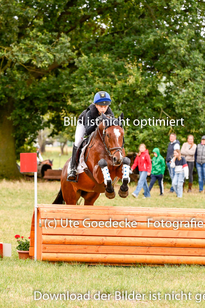 Goldene Schärpe Ponys in Hohenberg Krusemark 2024 | 13072024 Gelände 1 Abt_567