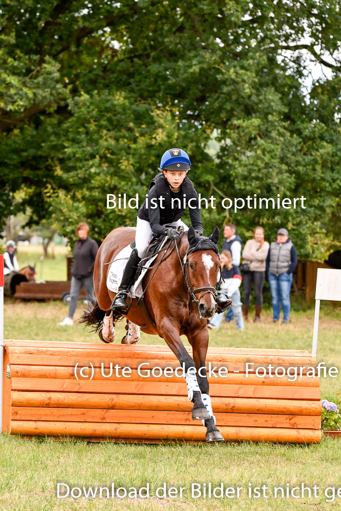 Goldene Schärpe Ponys in Hohenberg Krusemark 2024 | 13072024 Gelände 1 Abt_569