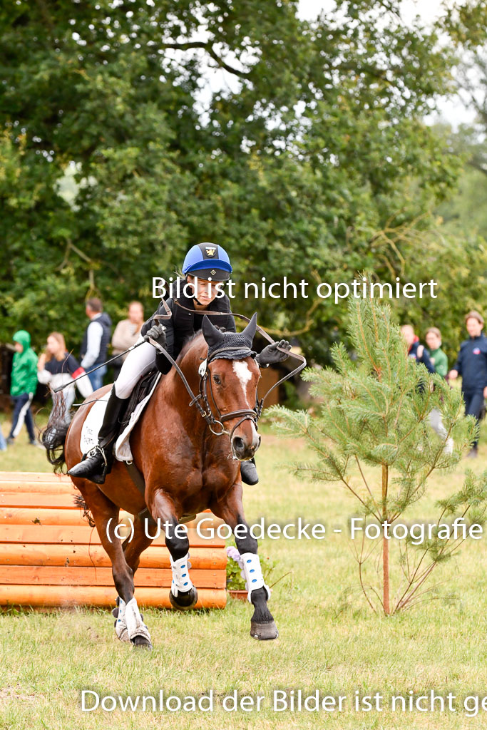 Goldene Schärpe Ponys in Hohenberg Krusemark 2024 | 13072024 Gelände 1 Abt_570