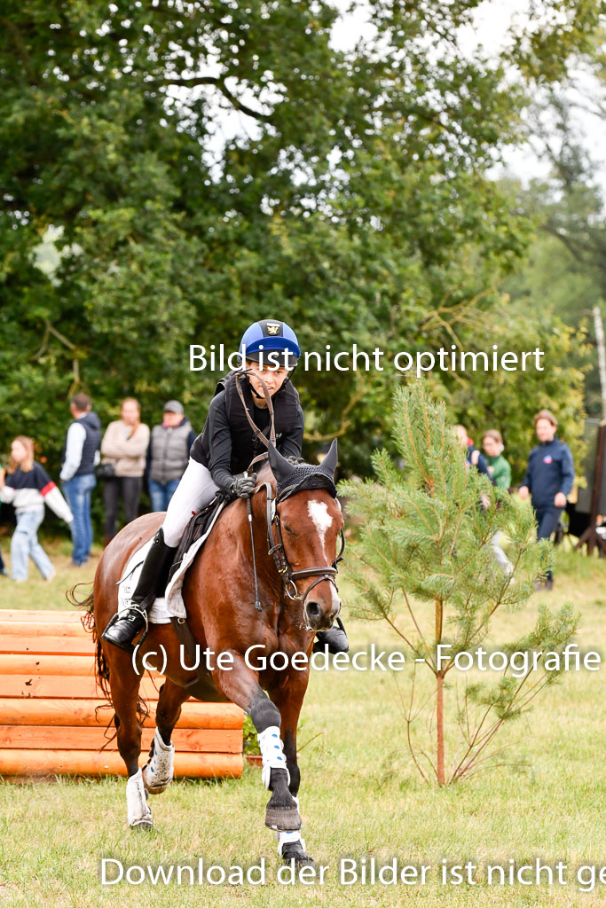 Goldene Schärpe Ponys in Hohenberg Krusemark 2024 | 13072024 Gelände 1 Abt_571
