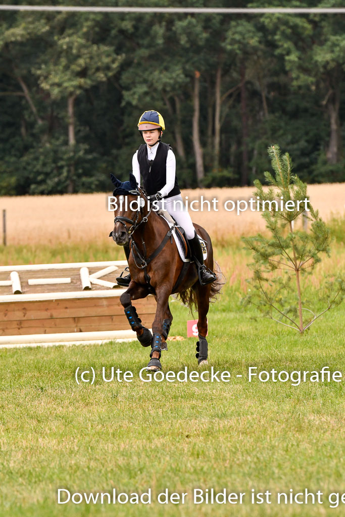 Goldene Schärpe Ponys in Hohenberg Krusemark 2024 | 13072024 Gelände 1 Abt_577