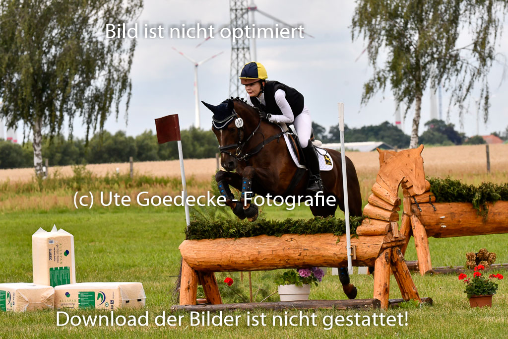 Goldene Schärpe Ponys in Hohenberg Krusemark 2024 | 13072024 Gelände 1 Abt_578