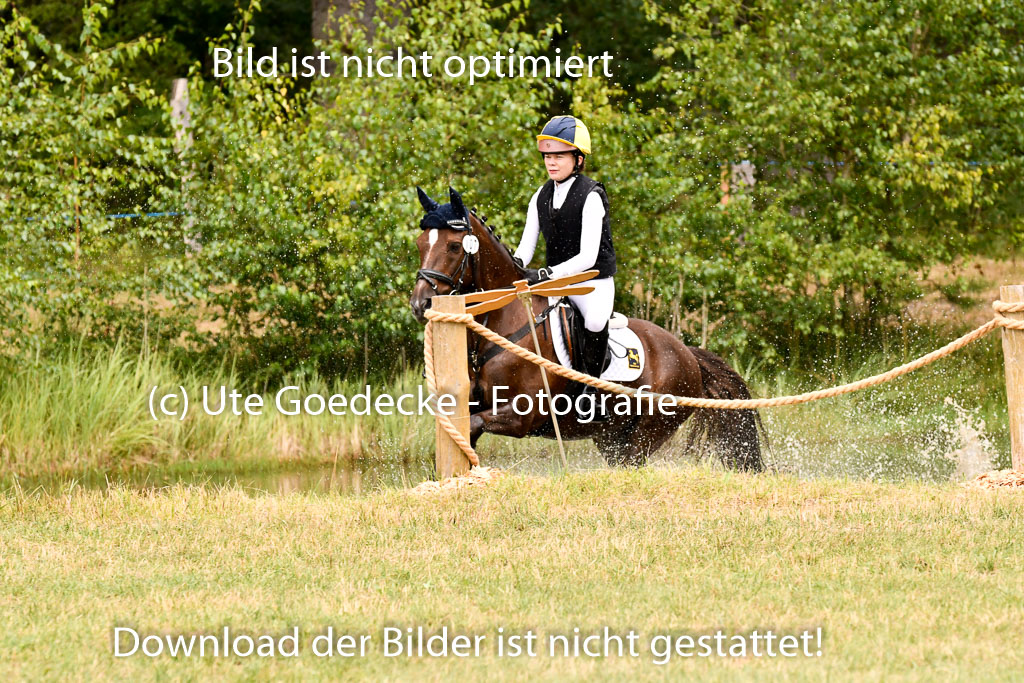 Goldene Schärpe Ponys in Hohenberg Krusemark 2024 | 13072024 Gelände 1 Abt_579