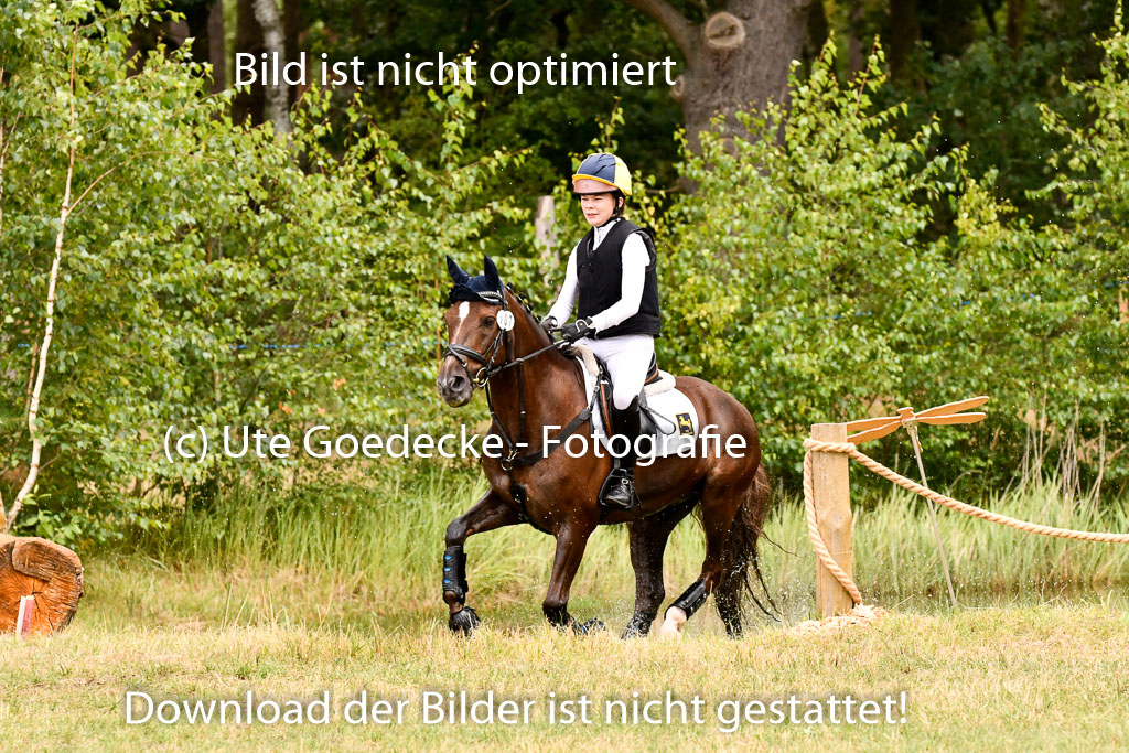 Goldene Schärpe Ponys in Hohenberg Krusemark 2024 | 13072024 Gelände 1 Abt_580