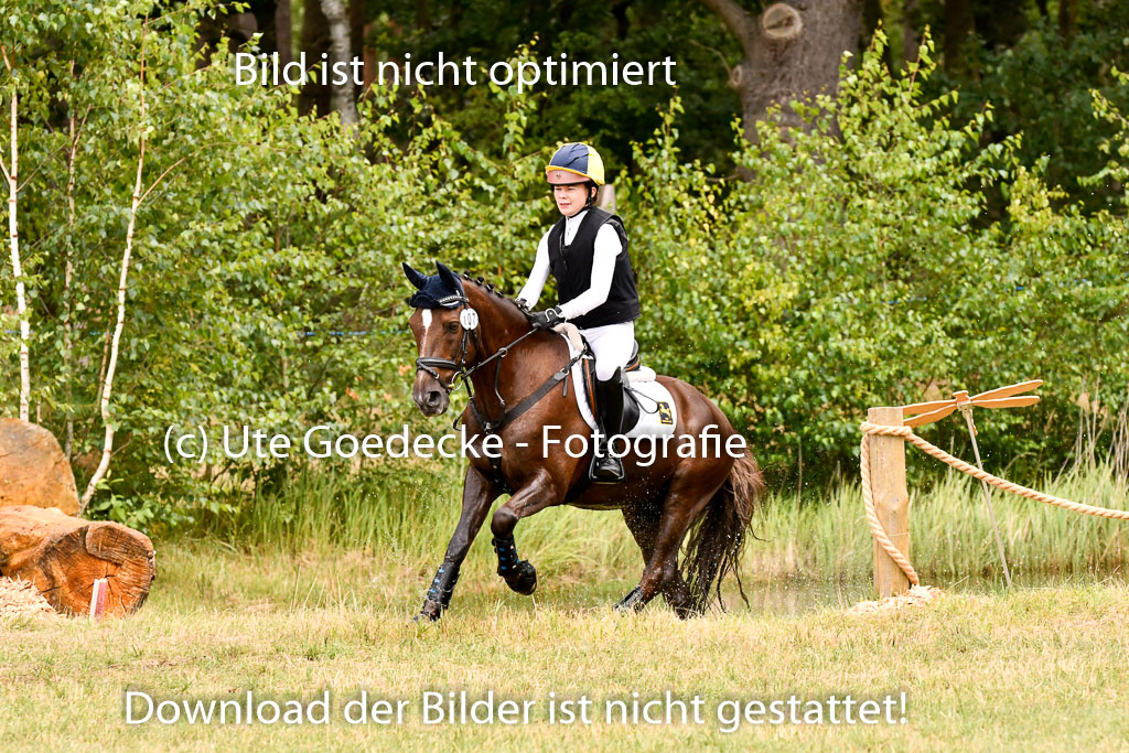 Goldene Schärpe Ponys in Hohenberg Krusemark 2024 | 13072024 Gelände 1 Abt_581