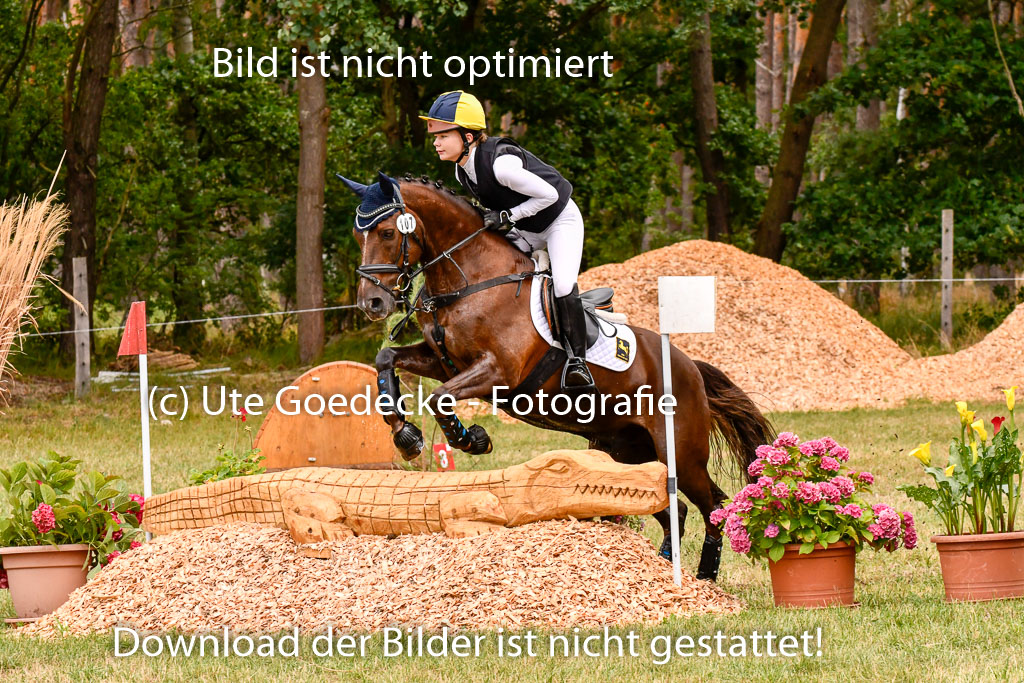 Goldene Schärpe Ponys in Hohenberg Krusemark 2024 | 13072024 Gelände 1 Abt_582