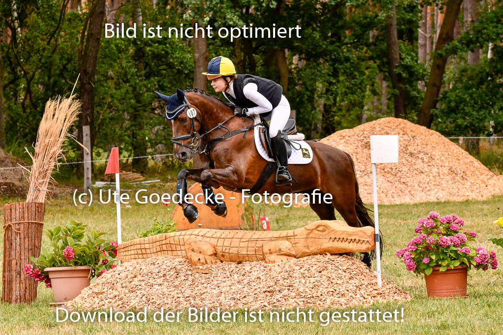 Goldene Schärpe Ponys in Hohenberg Krusemark 2024 | 13072024 Gelände 1 Abt_583