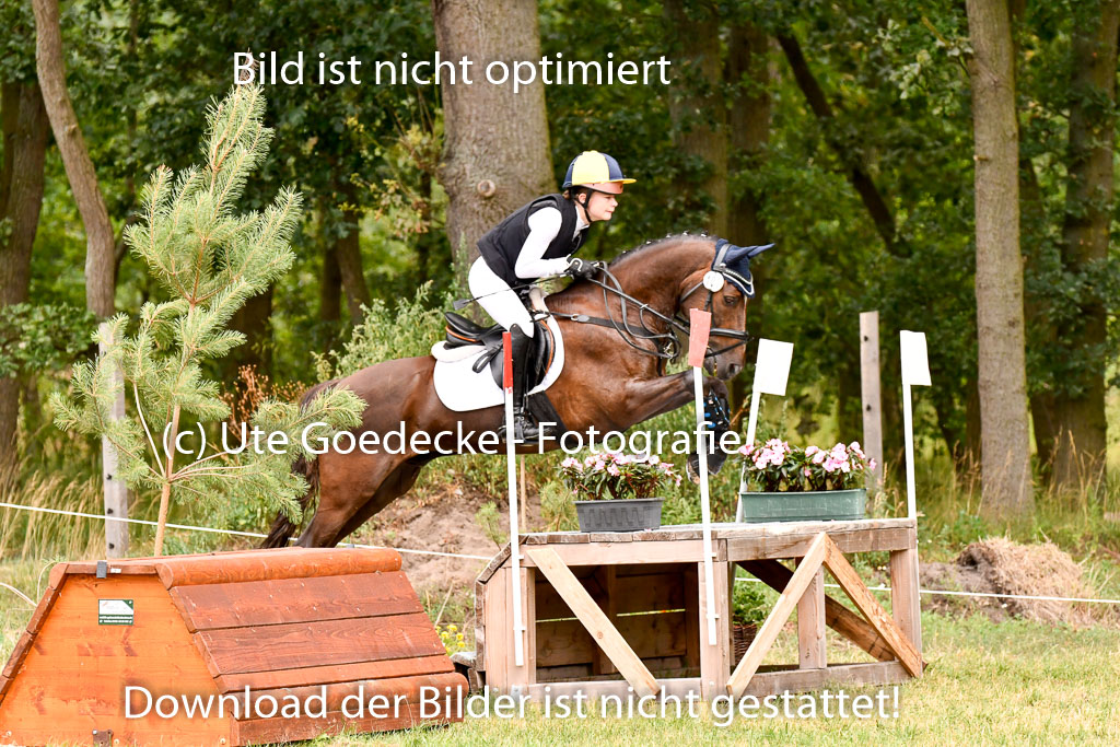 Goldene Schärpe Ponys in Hohenberg Krusemark 2024 | 13072024 Gelände 1 Abt_584