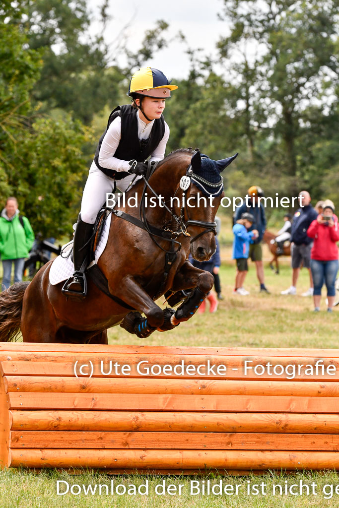 Goldene Schärpe Ponys in Hohenberg Krusemark 2024 | 13072024 Gelände 1 Abt_585