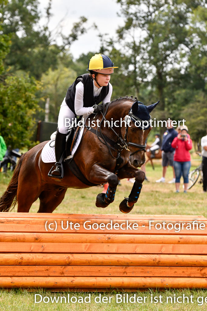 Goldene Schärpe Ponys in Hohenberg Krusemark 2024 | 13072024 Gelände 1 Abt_586