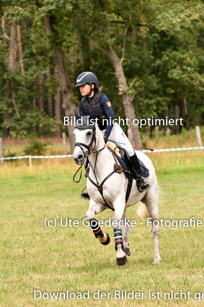Goldene Schärpe Ponys in Hohenberg Krusemark 2024 | 13072024 Gelände 1 Abt_587