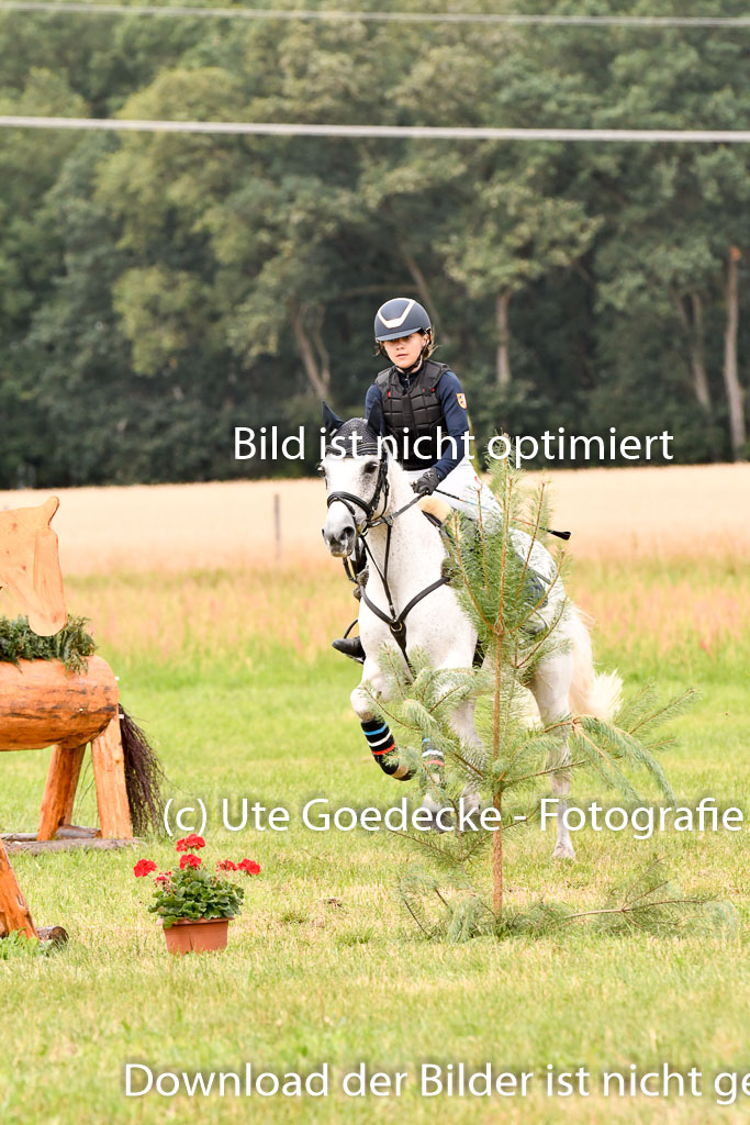 Goldene Schärpe Ponys in Hohenberg Krusemark 2024 | 13072024 Gelände 1 Abt_590