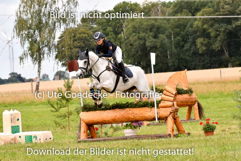 Goldene Schärpe Ponys in Hohenberg Krusemark 2024 | 13072024 Gelände 1 Abt_592