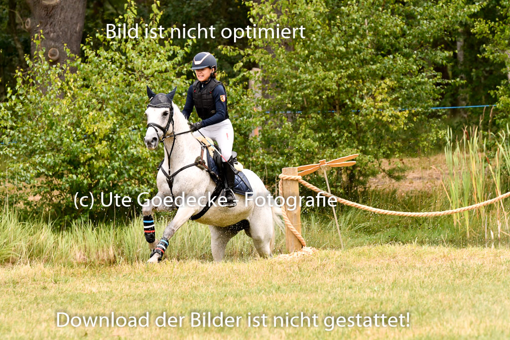 Goldene Schärpe Ponys in Hohenberg Krusemark 2024 | 13072024 Gelände 1 Abt_593