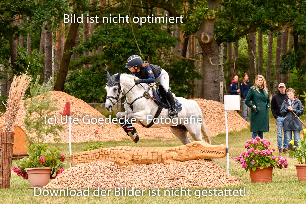 Goldene Schärpe Ponys in Hohenberg Krusemark 2024 | 13072024 Gelände 1 Abt_594