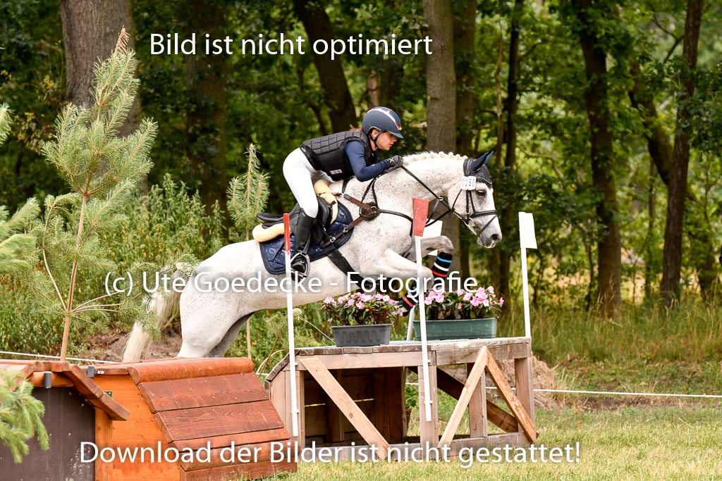 Goldene Schärpe Ponys in Hohenberg Krusemark 2024 | 13072024 Gelände 1 Abt_595