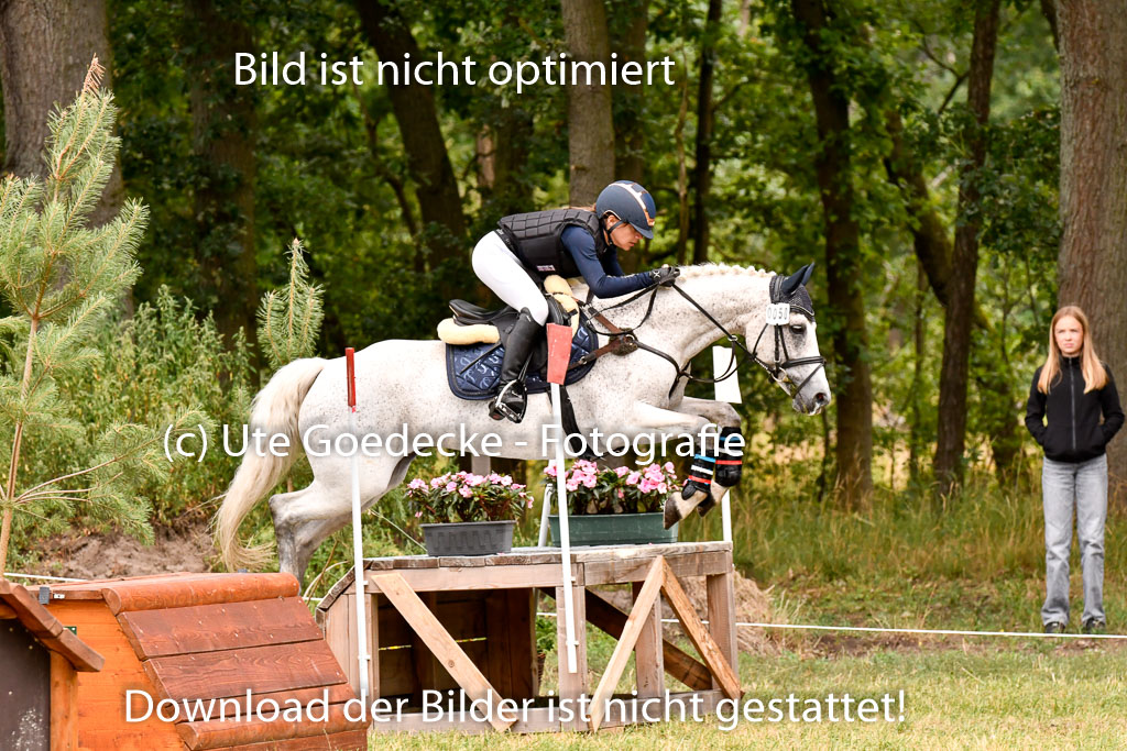 Goldene Schärpe Ponys in Hohenberg Krusemark 2024 | 13072024 Gelände 1 Abt_596
