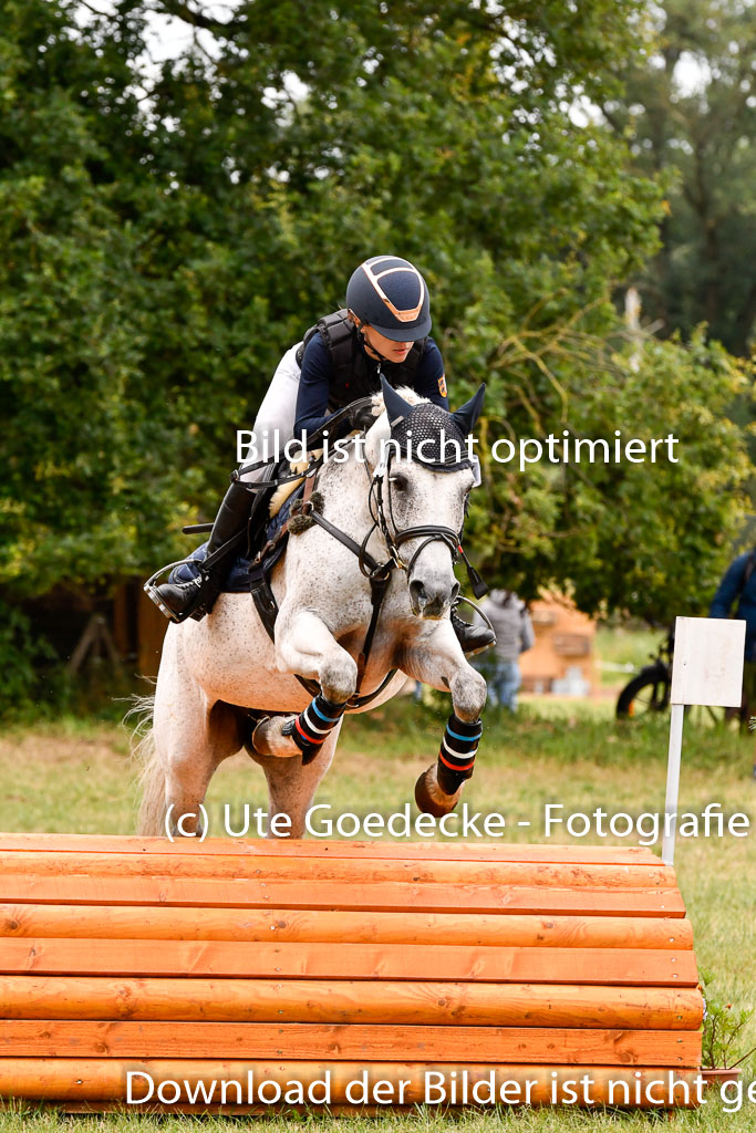 Goldene Schärpe Ponys in Hohenberg Krusemark 2024 | 13072024 Gelände 1 Abt_598
