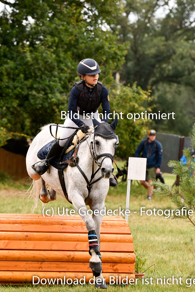 Goldene Schärpe Ponys in Hohenberg Krusemark 2024 | 13072024 Gelände 1 Abt_599