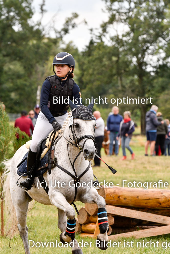 Goldene Schärpe Ponys in Hohenberg Krusemark 2024 | 13072024 Gelände 1 Abt_600