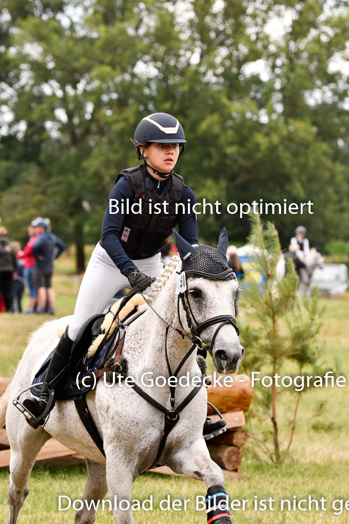 Goldene Schärpe Ponys in Hohenberg Krusemark 2024 | 13072024 Gelände 1 Abt_601