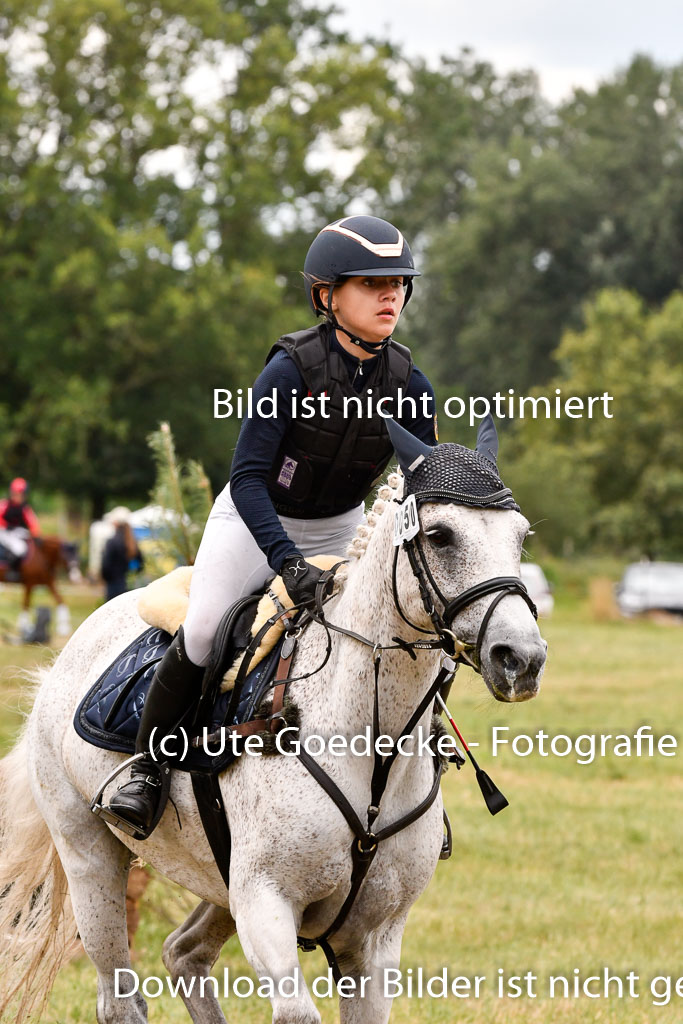 Goldene Schärpe Ponys in Hohenberg Krusemark 2024 | 13072024 Gelände 1 Abt_602