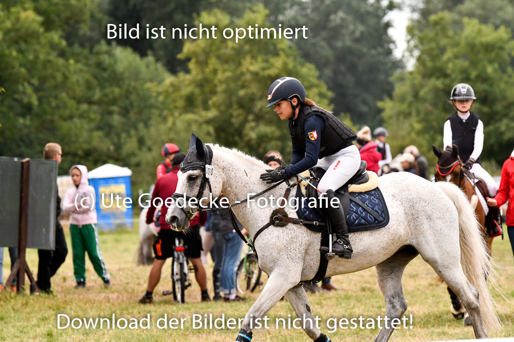 Goldene Schärpe Ponys in Hohenberg Krusemark 2024 | 13072024 Gelände 1 Abt_604