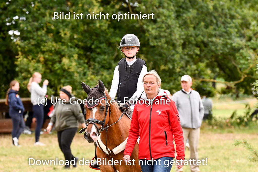 Goldene Schärpe Ponys in Hohenberg Krusemark 2024 | 13072024 Gelände 1 Abt_607