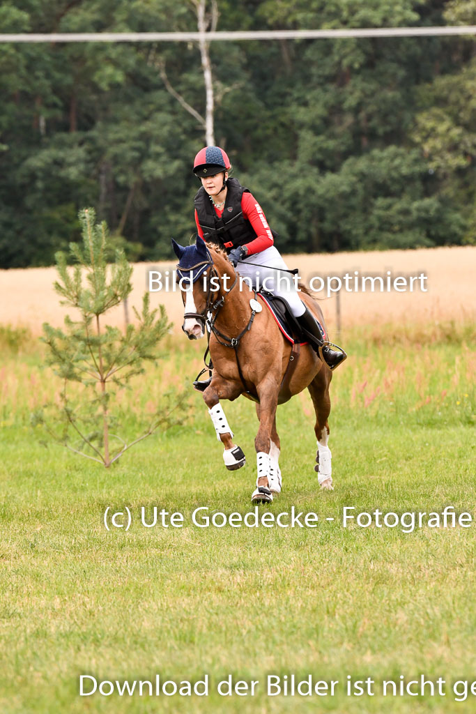Goldene Schärpe Ponys in Hohenberg Krusemark 2024 | 13072024 Gelände 1 Abt_608