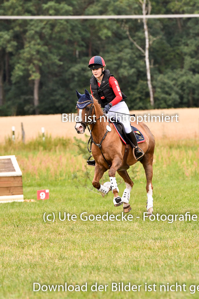 Goldene Schärpe Ponys in Hohenberg Krusemark 2024 | 13072024 Gelände 1 Abt_609