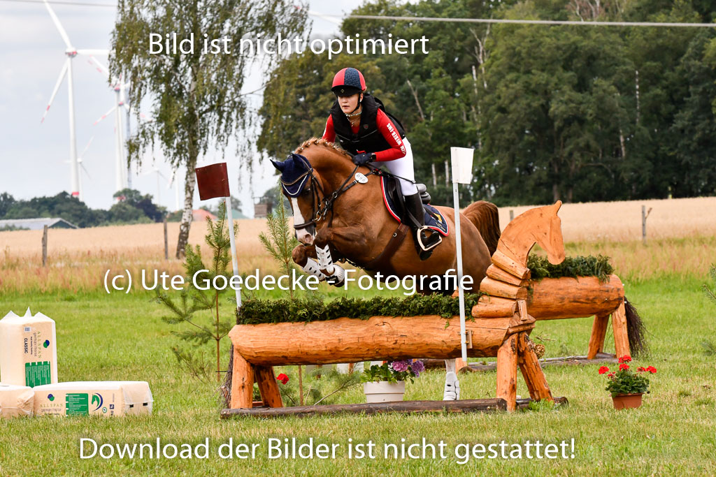 Goldene Schärpe Ponys in Hohenberg Krusemark 2024 | 13072024 Gelände 1 Abt_610