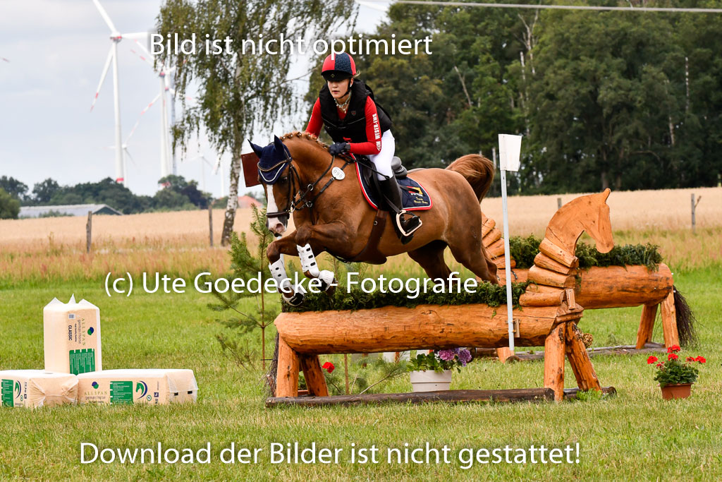 Goldene Schärpe Ponys in Hohenberg Krusemark 2024 | 13072024 Gelände 1 Abt_611