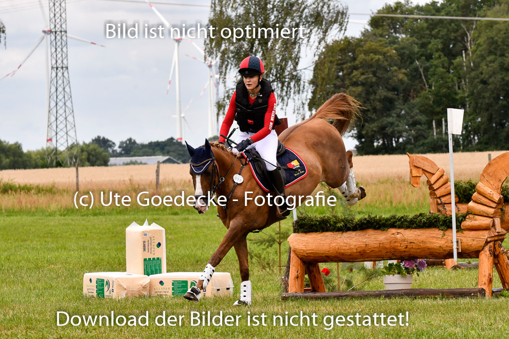 Goldene Schärpe Ponys in Hohenberg Krusemark 2024 | 13072024 Gelände 1 Abt_612