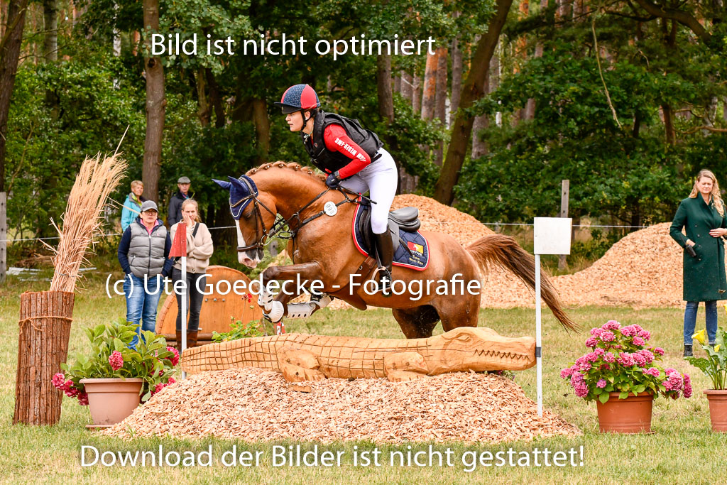 Goldene Schärpe Ponys in Hohenberg Krusemark 2024 | 13072024 Gelände 1 Abt_614