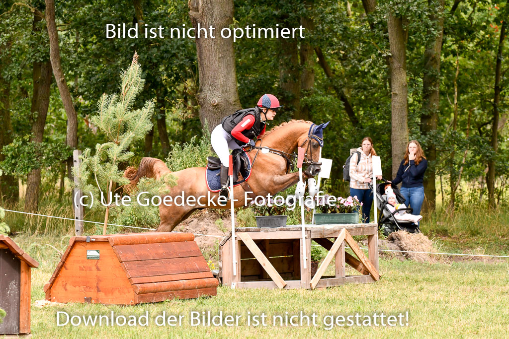Goldene Schärpe Ponys in Hohenberg Krusemark 2024 | 13072024 Gelände 1 Abt_615