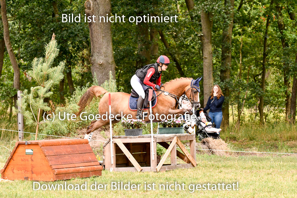 Goldene Schärpe Ponys in Hohenberg Krusemark 2024 | 13072024 Gelände 1 Abt_616