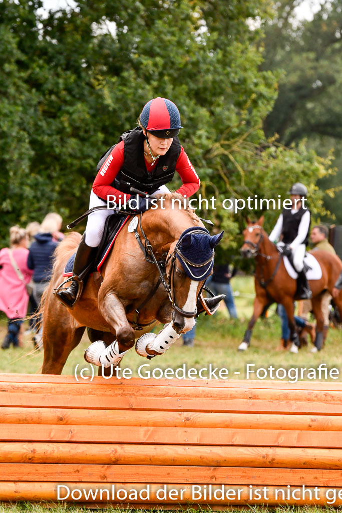 Goldene Schärpe Ponys in Hohenberg Krusemark 2024 | 13072024 Gelände 1 Abt_617