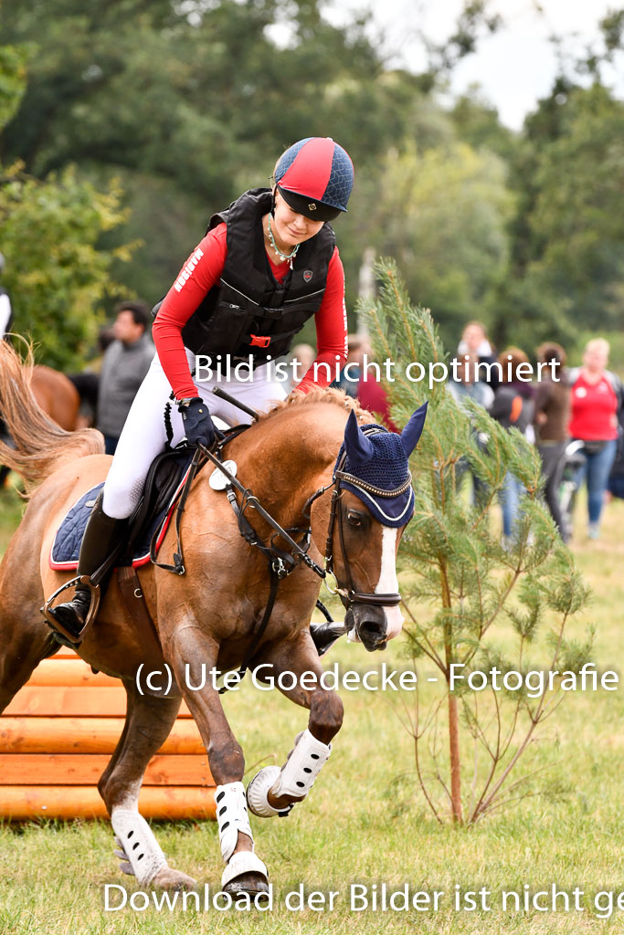Goldene Schärpe Ponys in Hohenberg Krusemark 2024 | 13072024 Gelände 1 Abt_618