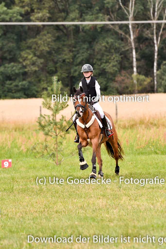 Goldene Schärpe Ponys in Hohenberg Krusemark 2024 | 13072024 Gelände 1 Abt_623
