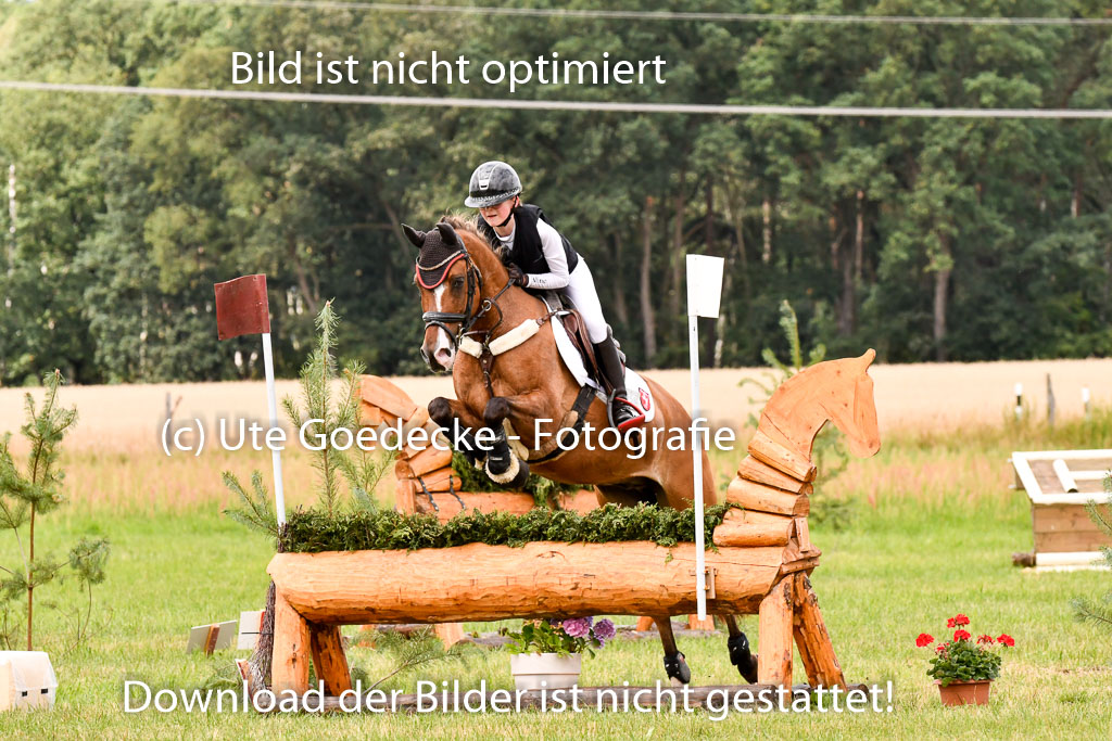 Goldene Schärpe Ponys in Hohenberg Krusemark 2024 | 13072024 Gelände 1 Abt_624
