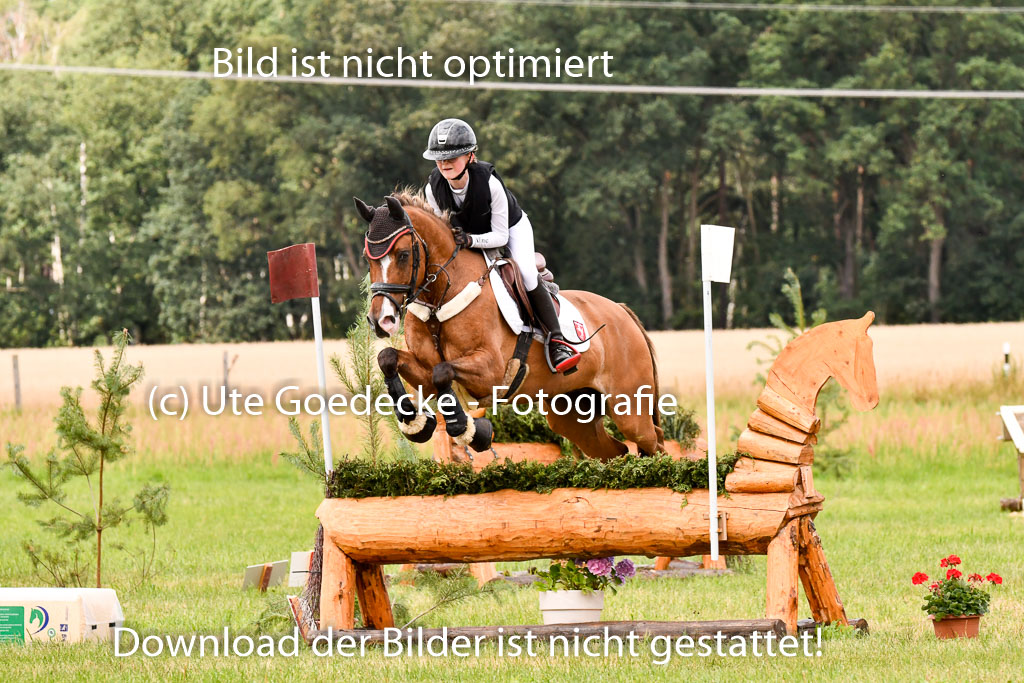 Goldene Schärpe Ponys in Hohenberg Krusemark 2024 | 13072024 Gelände 1 Abt_625